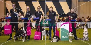 Crufts 2017