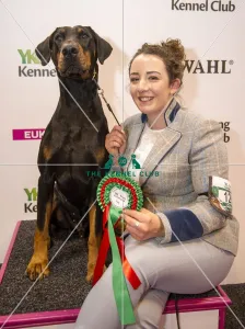 Crufts 2017