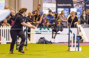 Crufts 2017
