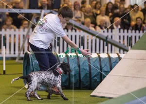 Crufts 2017