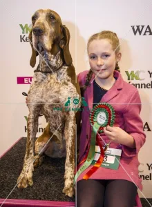 Crufts 2017