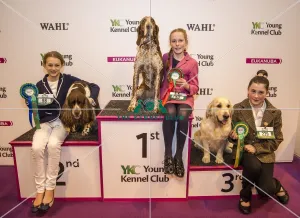 Crufts 2017