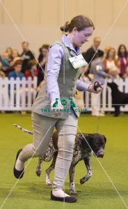 Crufts 2017