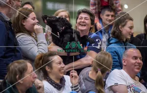Crufts 2017
