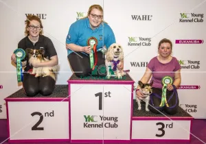 Crufts 2017