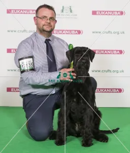 Giant Schnauzer