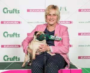 Crufts 2017