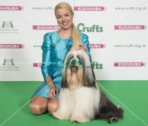 Crufts 2017