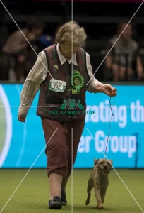 Crufts 2017 shop
