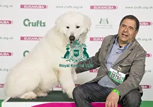 Crufts 2017
