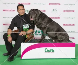 Crufts 2017 Crufts 2017