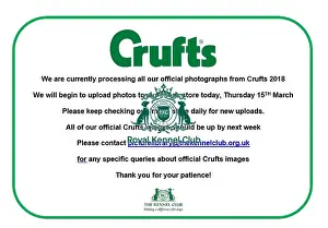 Crufts 2018