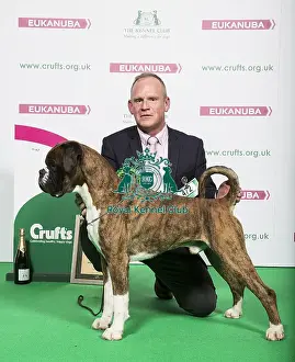 Crufts 2018