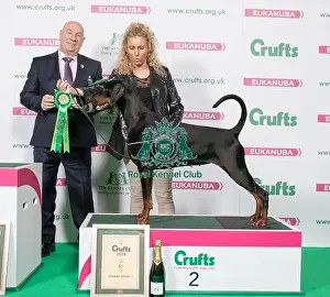 Crufts 2018