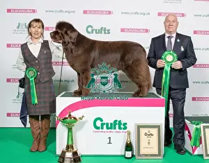 Crufts 2018