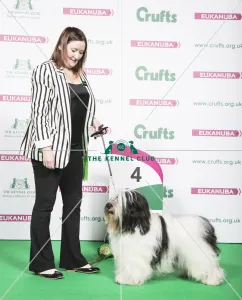 Polish Lowland Sheepdog