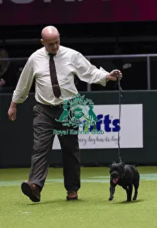 Crufts 2018