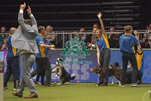 Crufts 2018