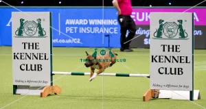 Crufts 2018