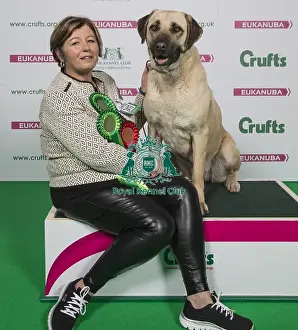 Crufts 2018