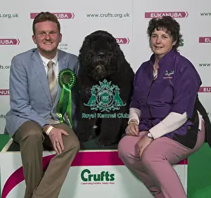 Crufts 2018