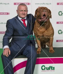Crufts 2018
