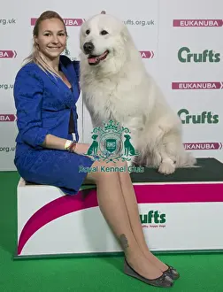 Crufts 2018