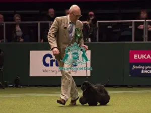 Crufts 2018