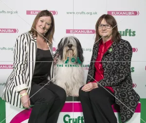 Crufts 2018