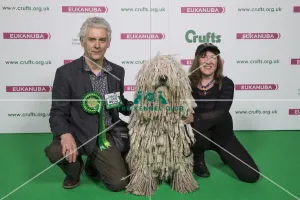 Crufts 2018