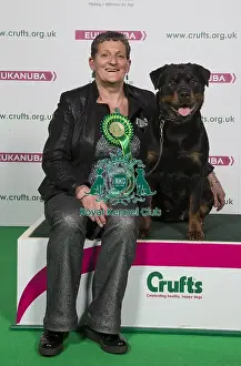 Crufts 2018