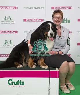 Crufts 2018