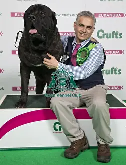 Crufts 2018