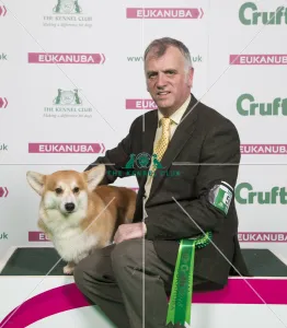 Crufts 2018