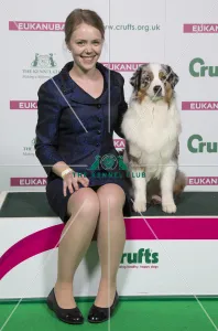 Australian Shepherd