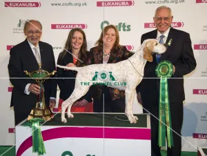 Gundog Group winner