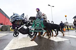 Crufts 2018
