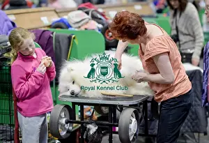 Crufts 2018