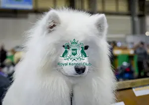 Crufts 2018