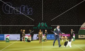 Crufts 2018