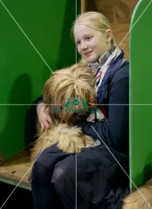 Briards