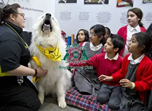 Crufts 2018