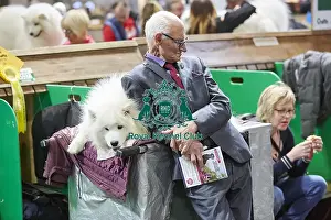 Crufts 2018