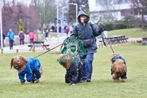 Crufts 2018