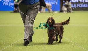 Crufts 2018