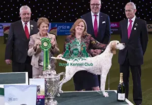Crufts 2018