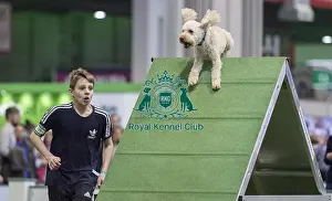 Crufts 2018 Prints: Crufts 2018