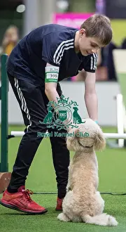 Crufts 2018 Prints: Crufts 2018