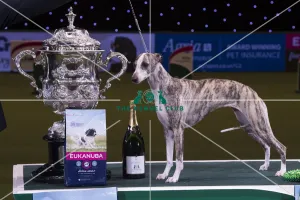 Crufts 2018