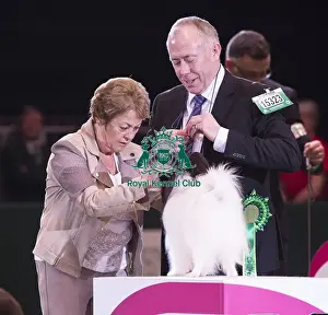 Crufts 2018